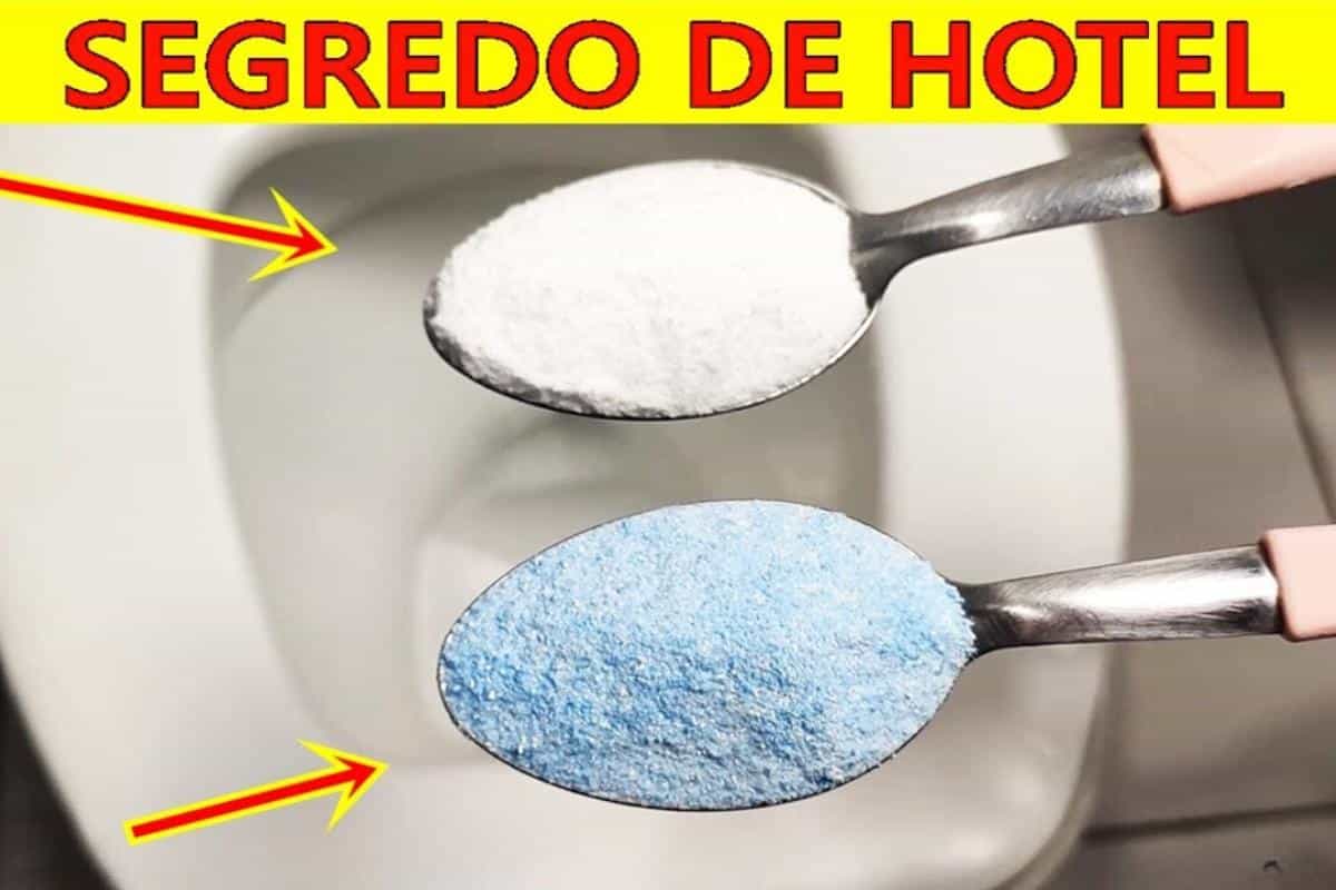 Dica para limpar vaso sanitário que deixa limpo e o banheiro cheiroso o dia todo