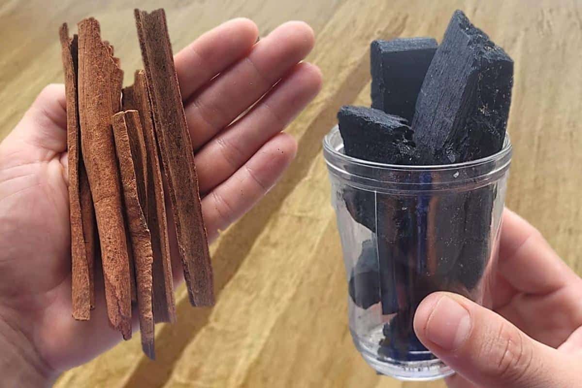 Misturando 2 ingredientes você faz adubo caseiro que faz qualquer plantar crescer e florir