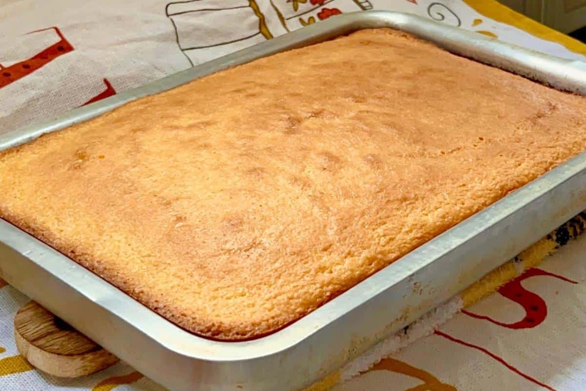 Receita de bolo sem farinha na assadeira grande para o café da tarde das visitas