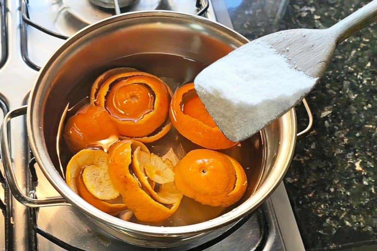 Depois que cozinhei casca de laranja com sal parei de gastar com isso no mercado