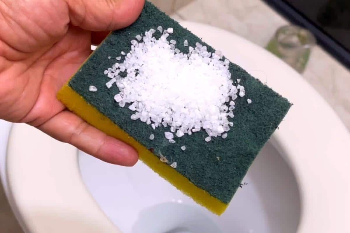 Como deixar banheiro cheiroso: não precisa comprar produto de limpeza no mercado