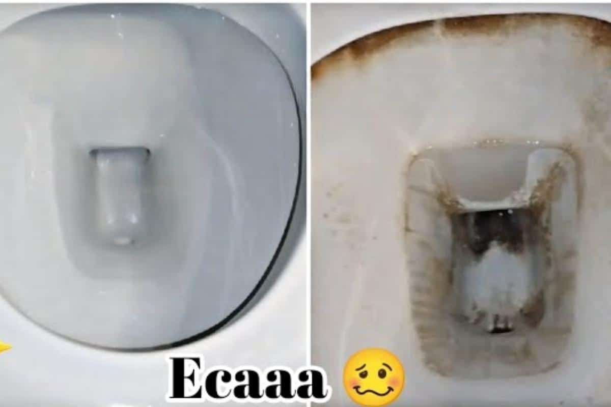 Como desencardir vaso sanitário de um jeito fácil que você nunca imaginou