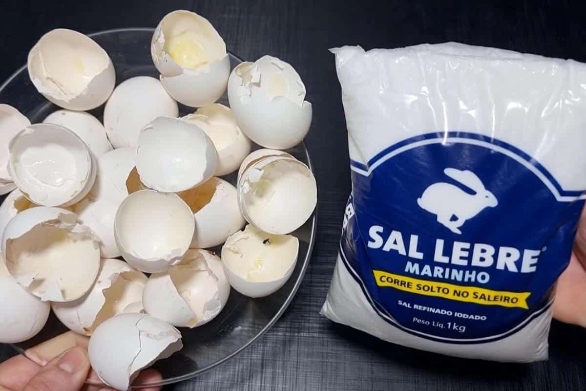 Aprendi a fazer um detergente caseiro que espuma muito e me fez economizar dinheiro