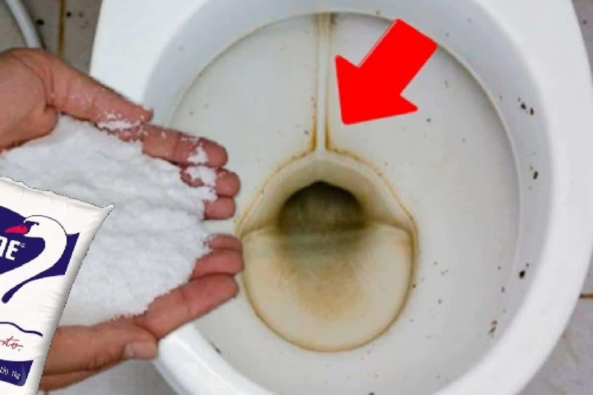 Dica para lavar banheiro com vaso sanitária encardido e manchado