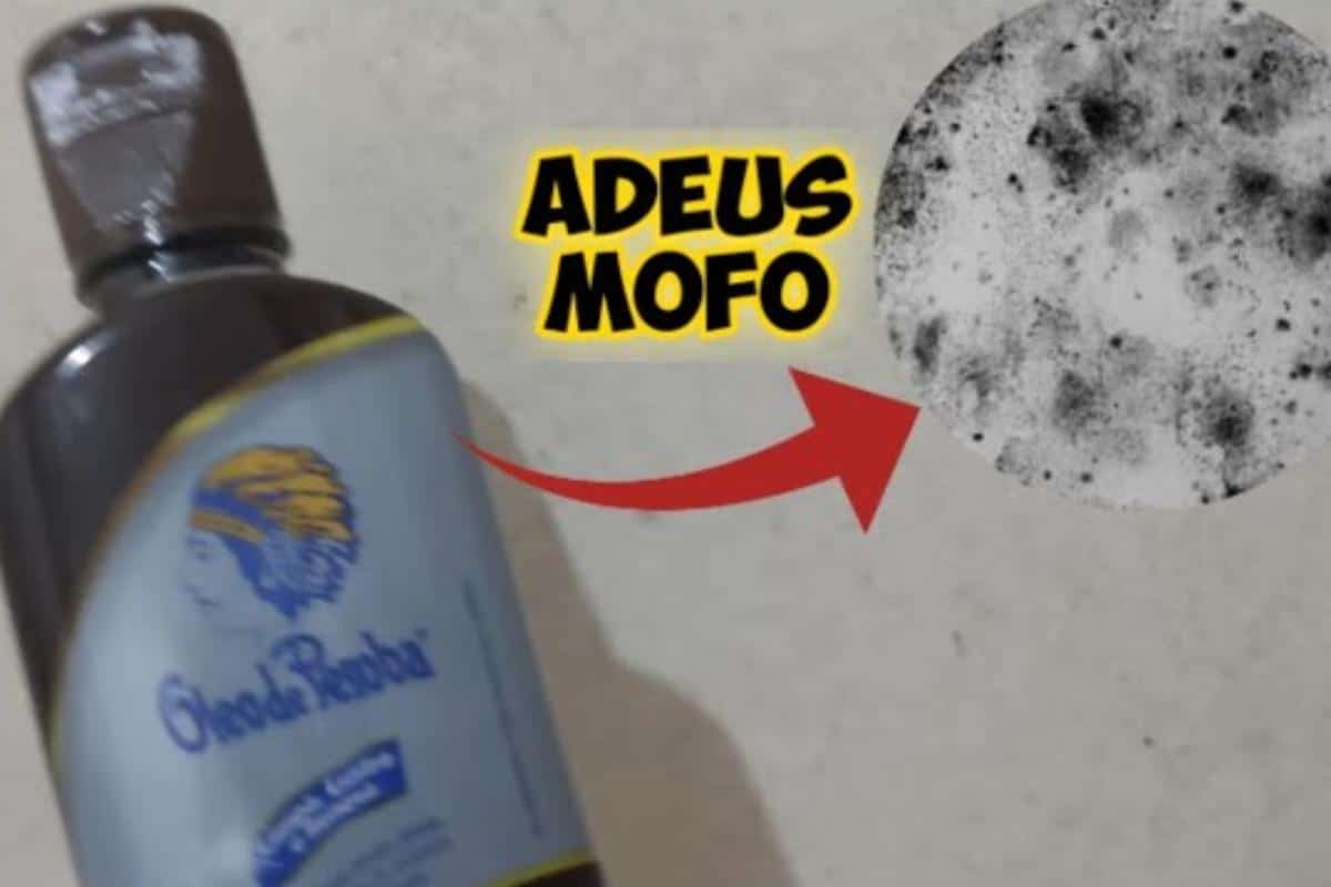 Como eliminar o mofo das paredes com uma misturinha caseira muito fácil e eficiente
