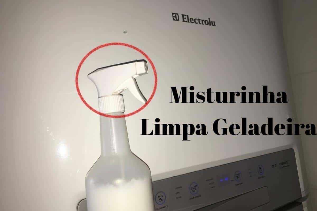Misturinha para limpar geladeira por dentro e por fora que tira sujeira e mal cheiro