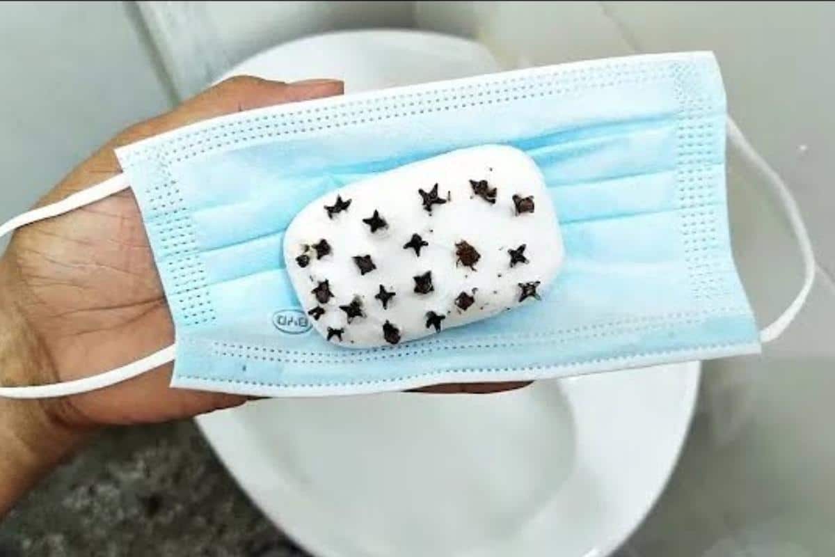 Especialista em limpeza dá dicas de como tirar mau cheiro do banheiro o dia todo