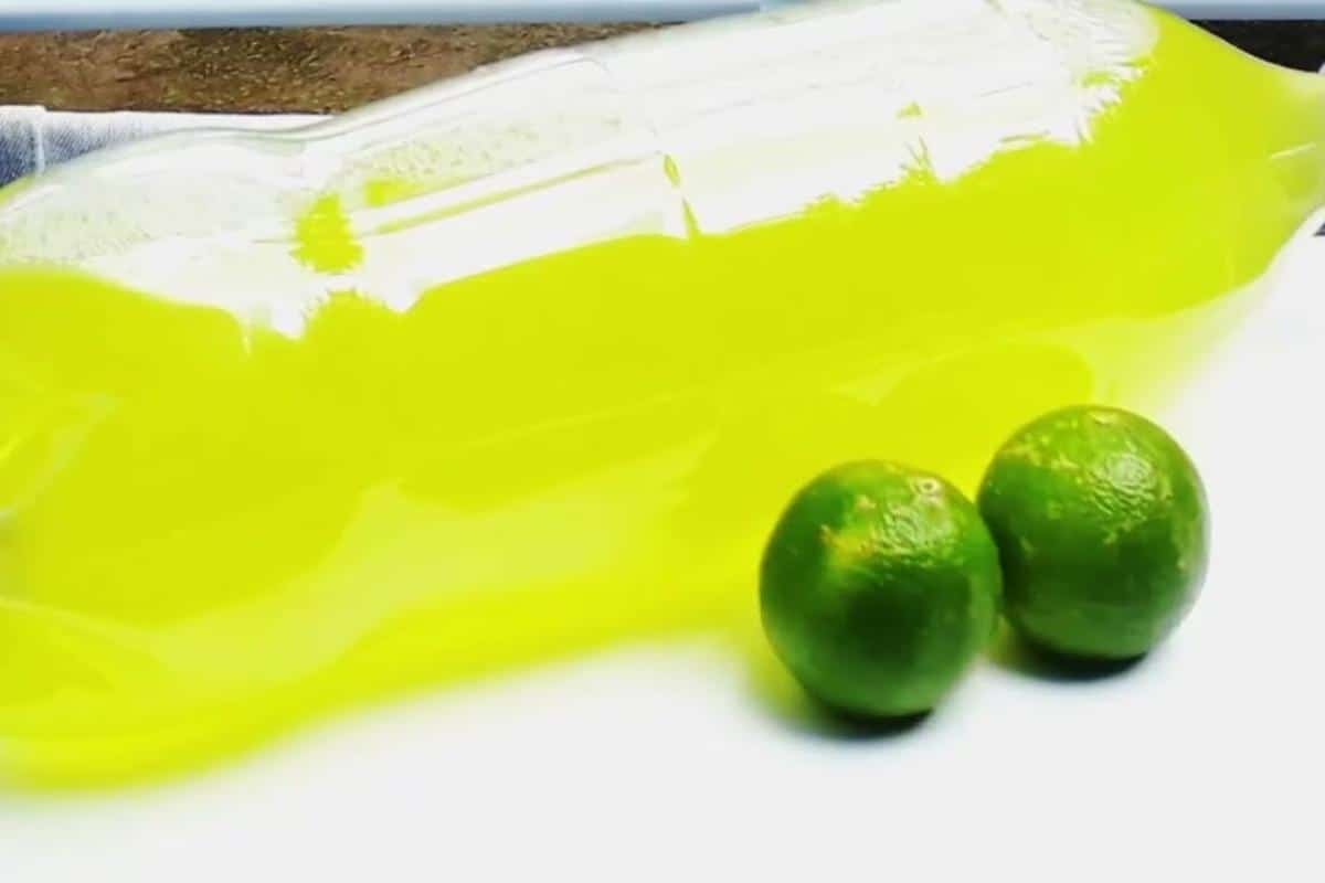Como fazer desinfetante de limão caseiro: uma solução ecológica para sua limpeza