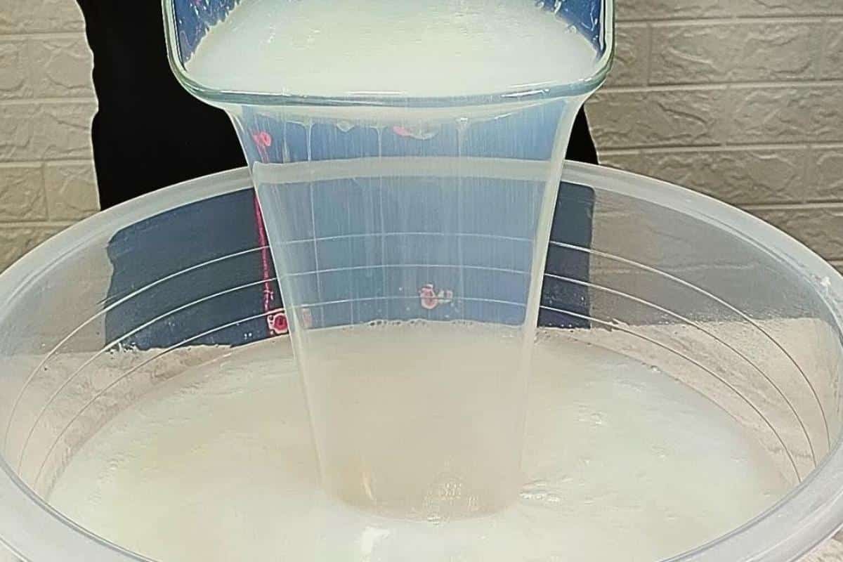 Como fazer detergente de coco caseiro: muito concentrado e rende bastante