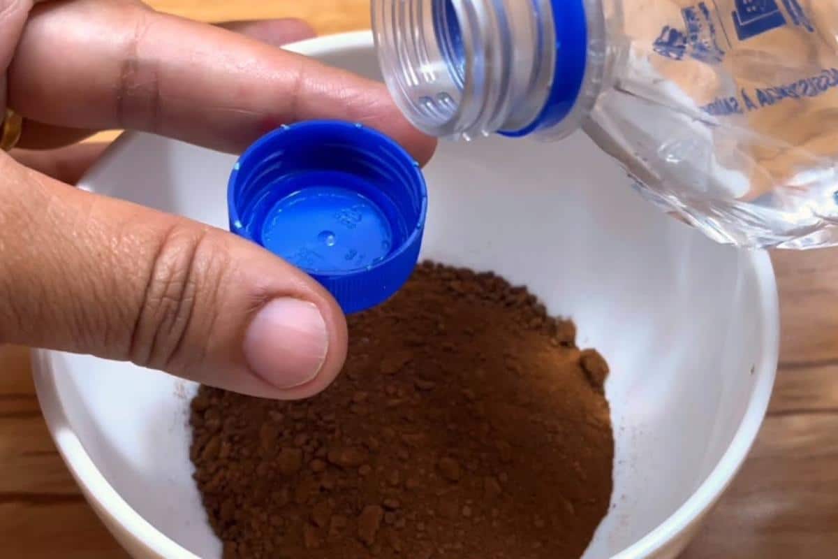 Dica para espantar insetos da cozinha: não precisa usar veneno pela casa toda