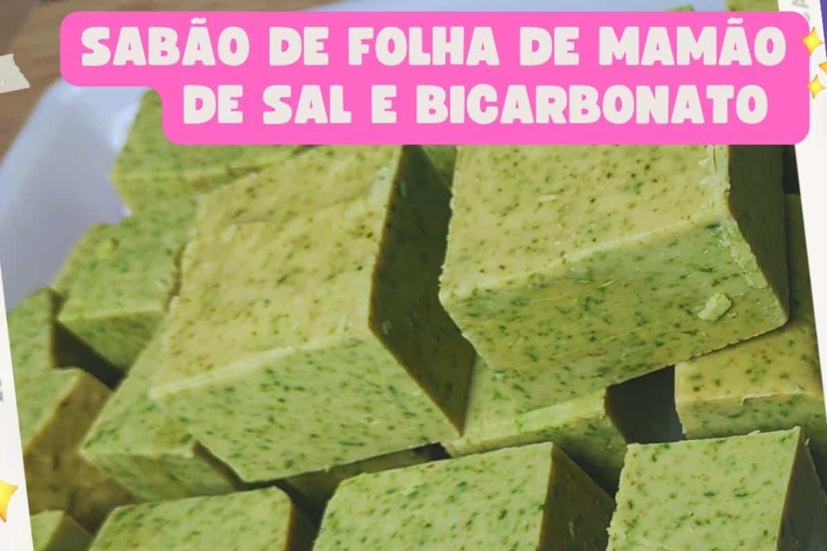 Sabão com folha de mamão: muito fácil de fazer e sem ingrediente caro