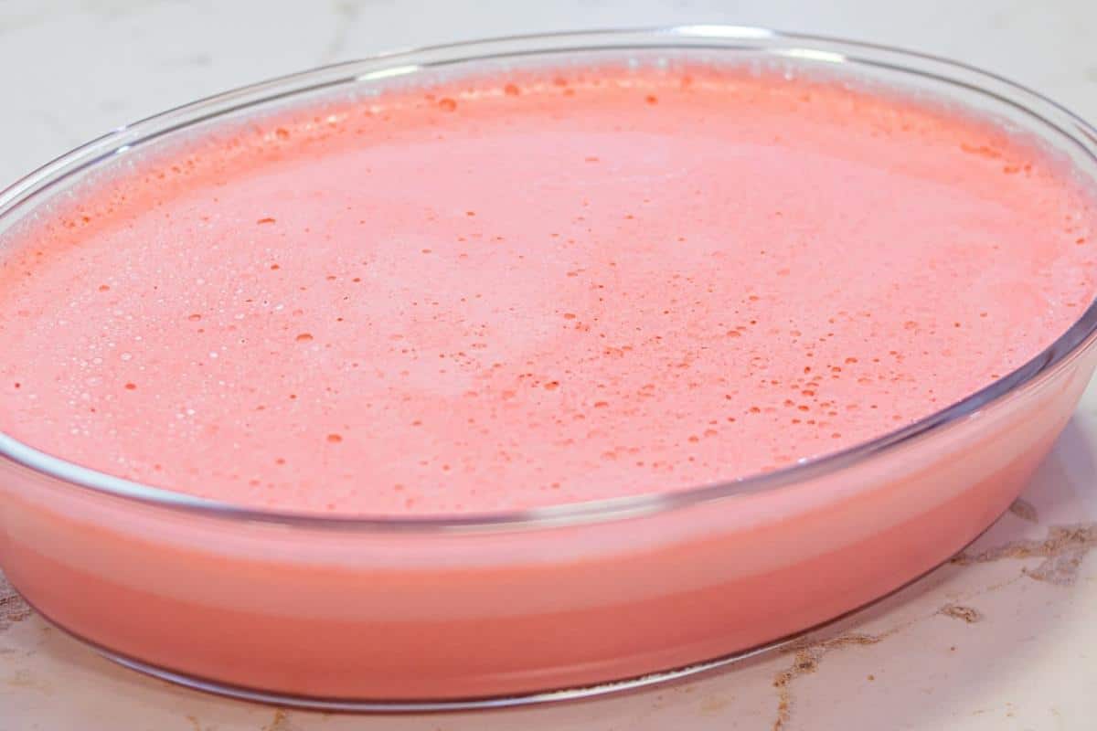Sobremesa pantera cor de rosa sabor morango muito fácil de fazer e fica uma delícia