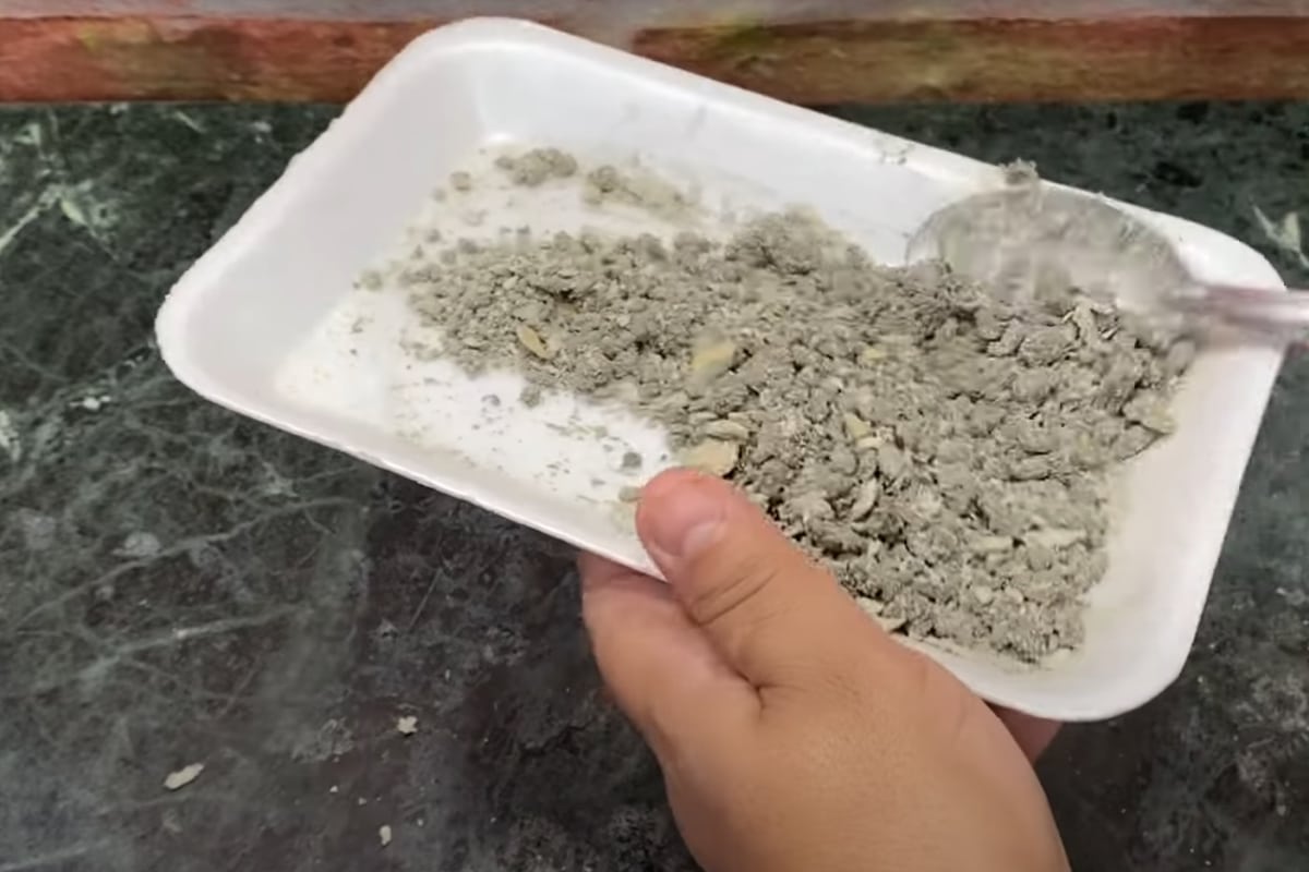 Como eliminar ratos da sua casa sem comprar veneno e espelhar pela casa toda