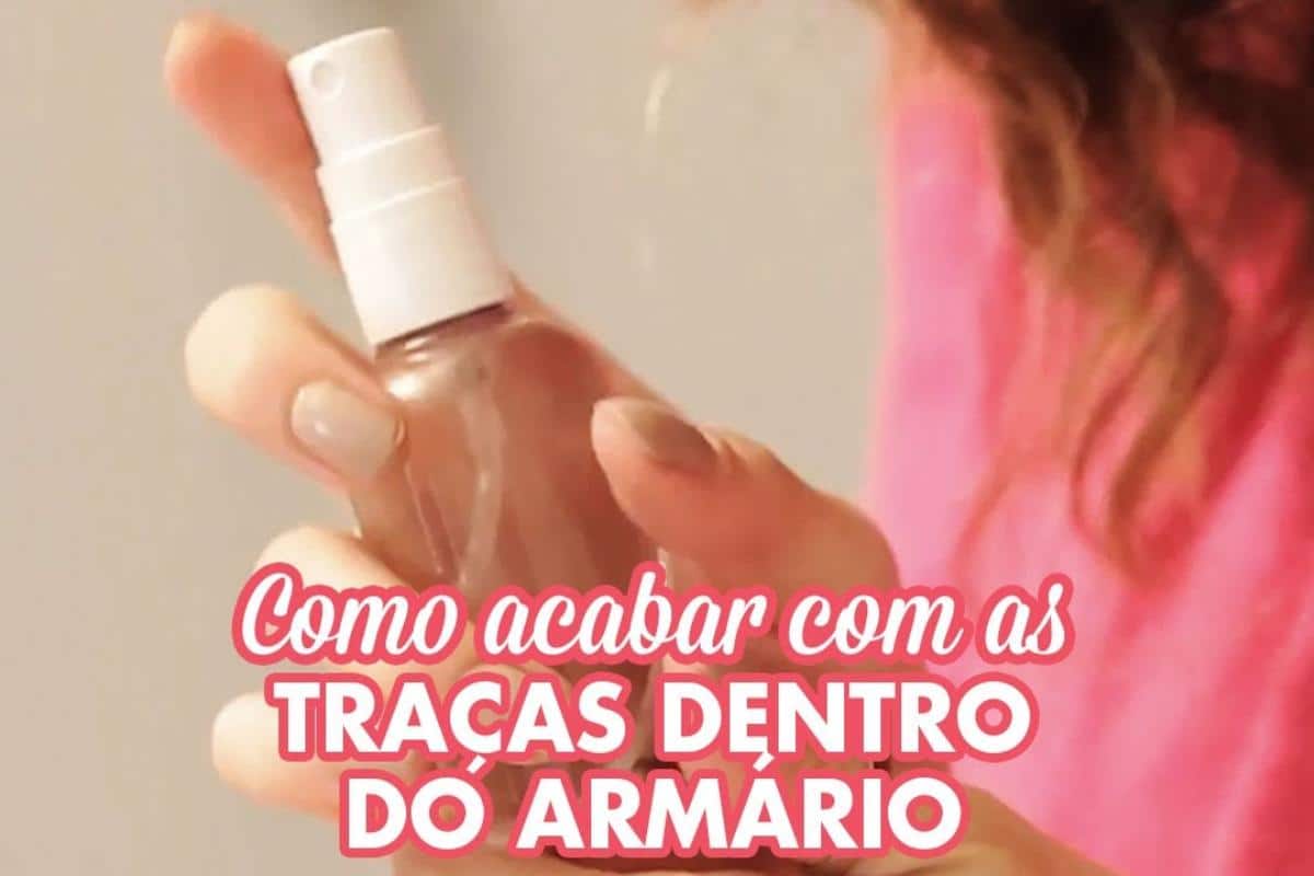 Como acabar com as traças na sua casa e não ter mais problemas com roupa rasgada