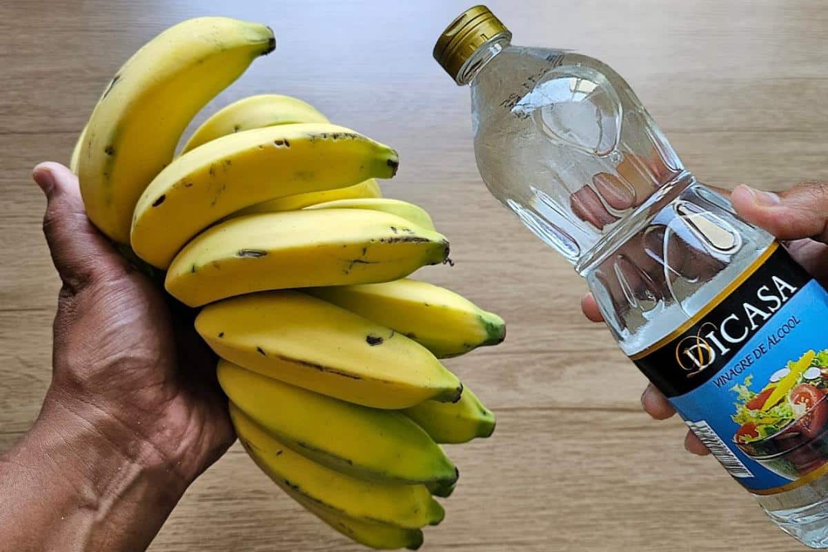 Como conservar banana na geladeira: dura mais tempo sem escurecer e sem estragar