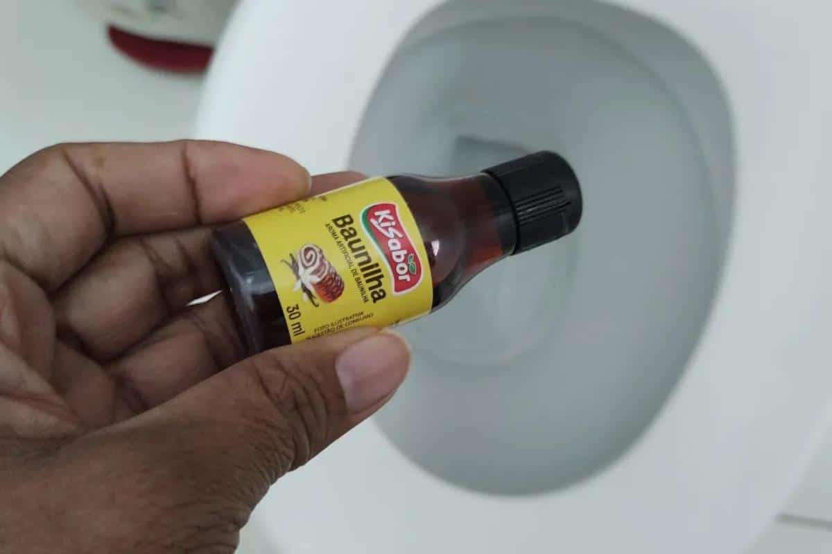 Como perfumar o banheiro: com essa dica seu banheiro fica cheiroso o dia todo