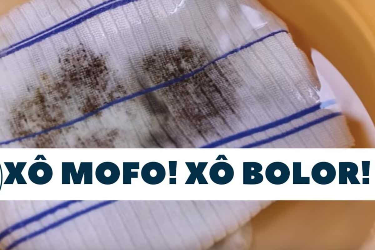 Como tirar mancha de mofo de panos e toalhas sem ficar fazendo força para esfregar