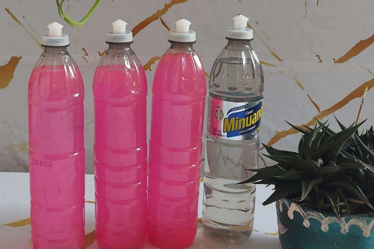 Detergente desengordurante caseiro: aprenda a receita que mais rende na sua cozinha