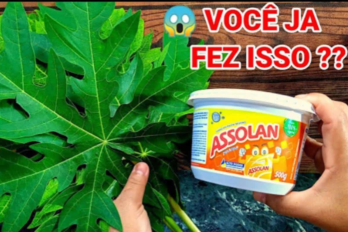 Dica caseira de economia: vai te fazer gastar bem menos dinheiro no mercado