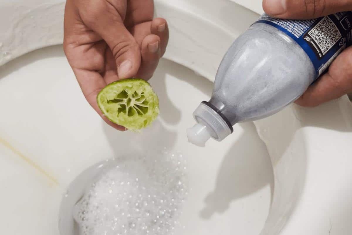 Dica para limpar banheiro: deixa cheiroso e tira todas as manchas de encardido