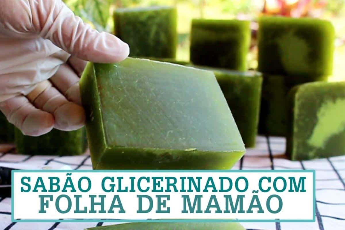 Como fazer sabão glicerinado com folha de mamão: não existe receita mais barata que essa
