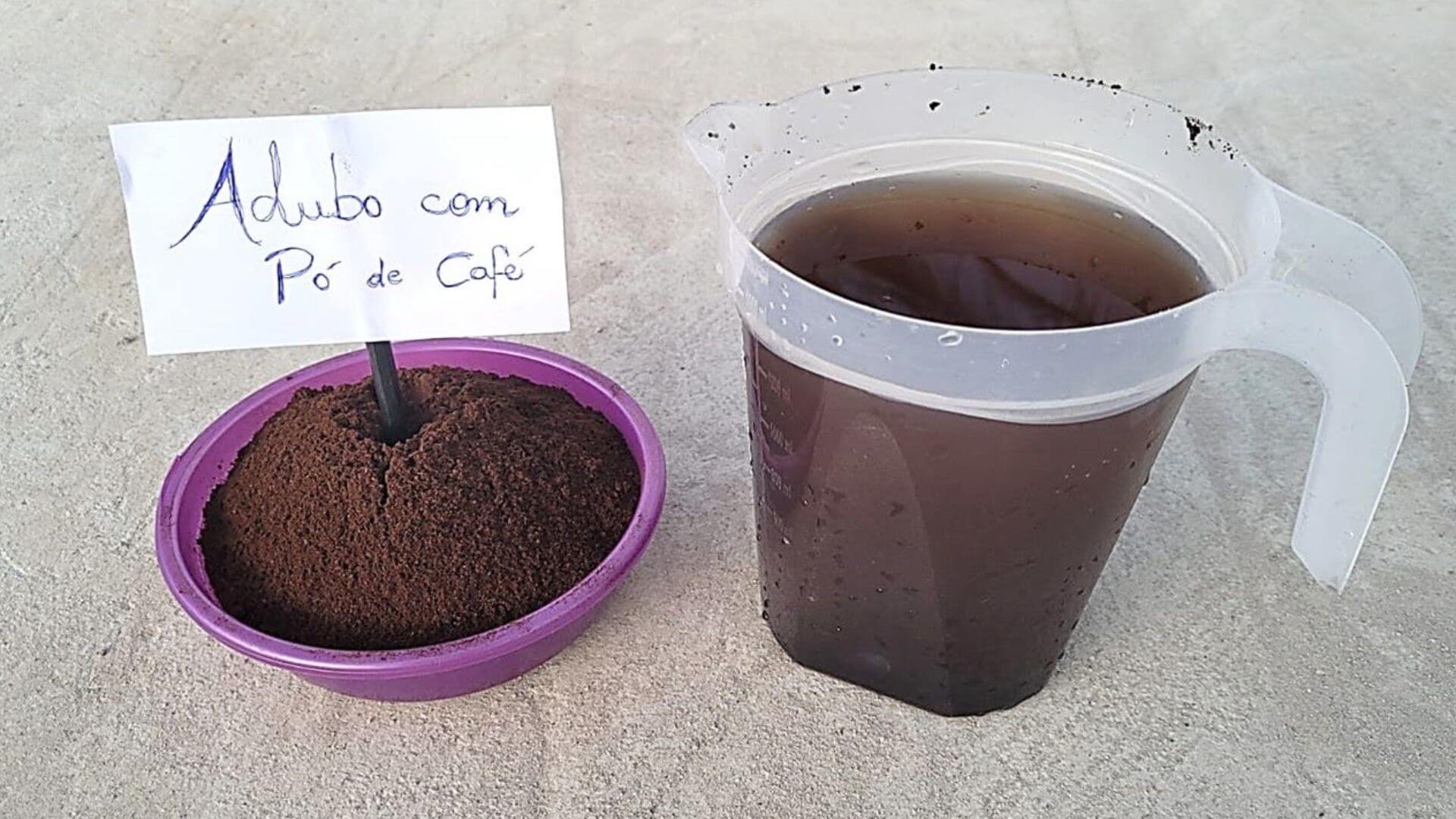 Adubo com pó de café potente: faz qualquer planta crescer e florir o ano todo