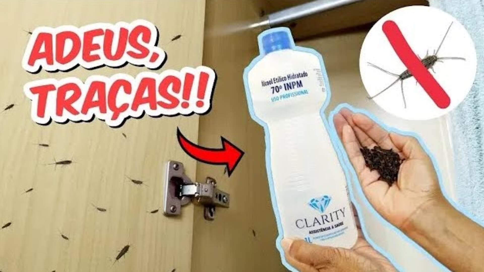 Como acabar com as traças do seu guarda-roupas de uma vez por todas