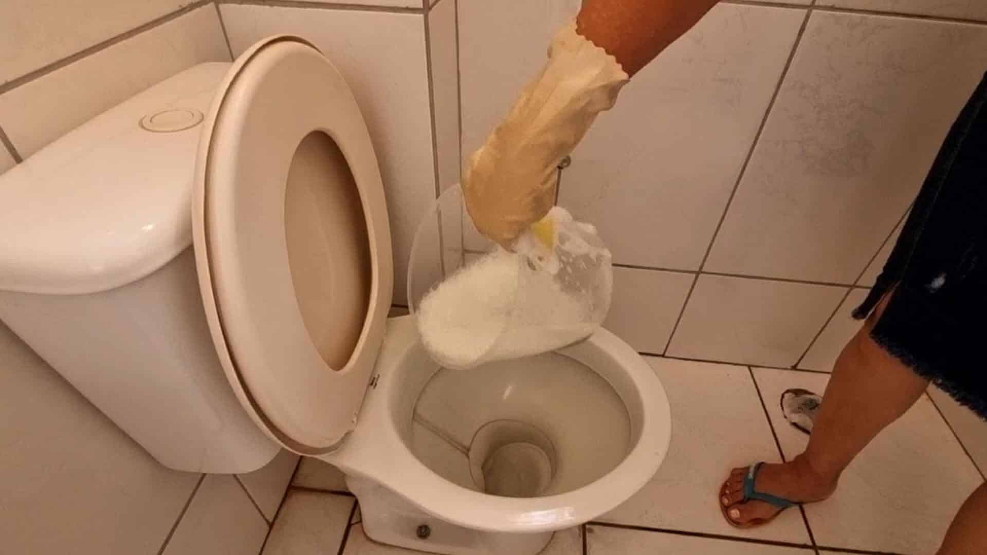 Como limpar vaso sanitário encardido: tira todas as manchas rapidinho