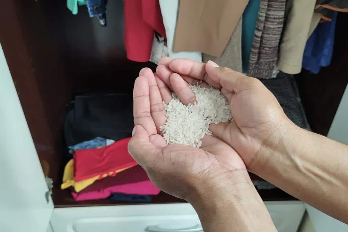 Como tirar cheiro de guarda roupa: suas roupas vão ficar sempre cheirosas para o natal