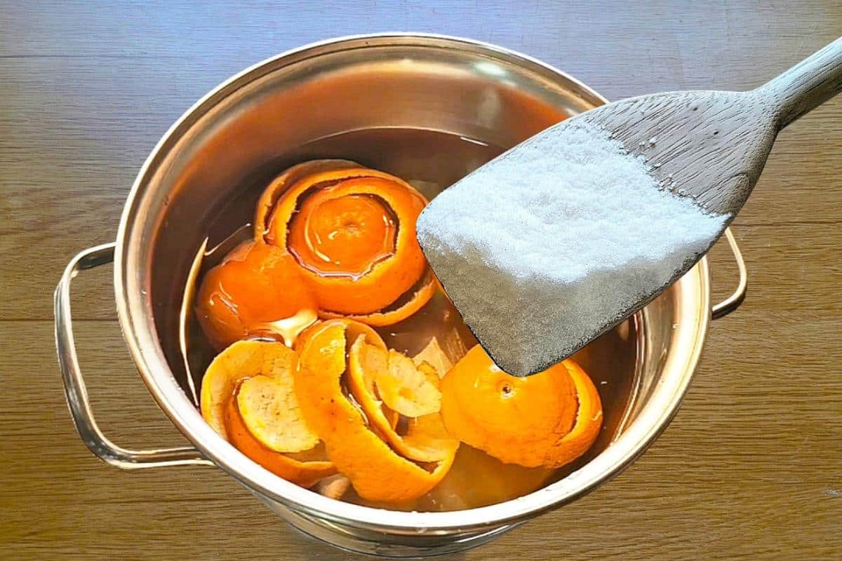 Detergente caseiro com folha de laranja que o resultado vai te surpreender