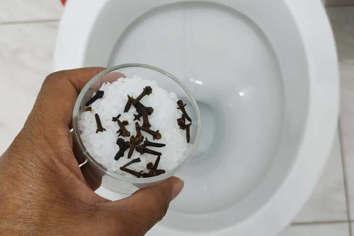 Dica para limpar e perfumar banheiro da sua casa que dura o dia todo