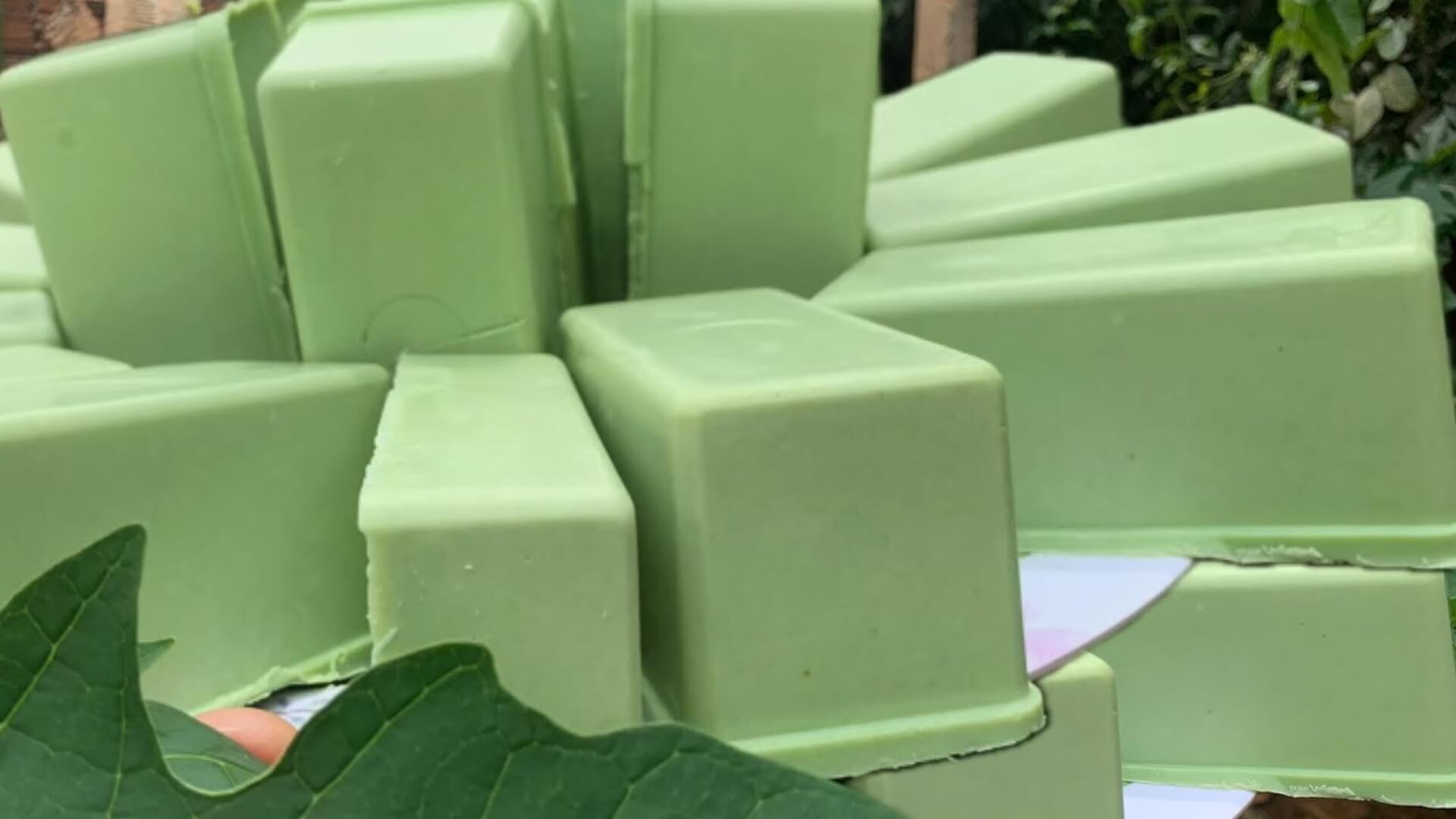 Como fazer sabão caseiro com folha de mamão que desmancha fácil na água e espuma bastante