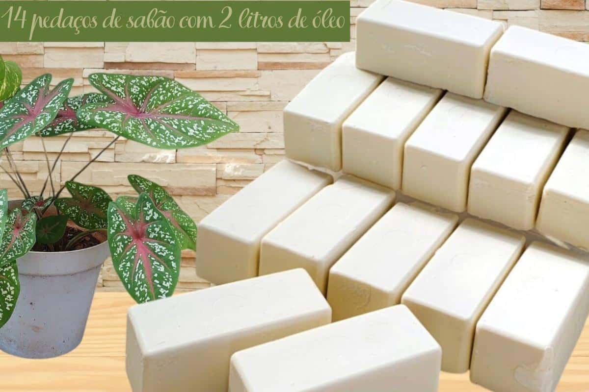 Sabão desengordurante que rende muito usando só 2 litros de óleo usado