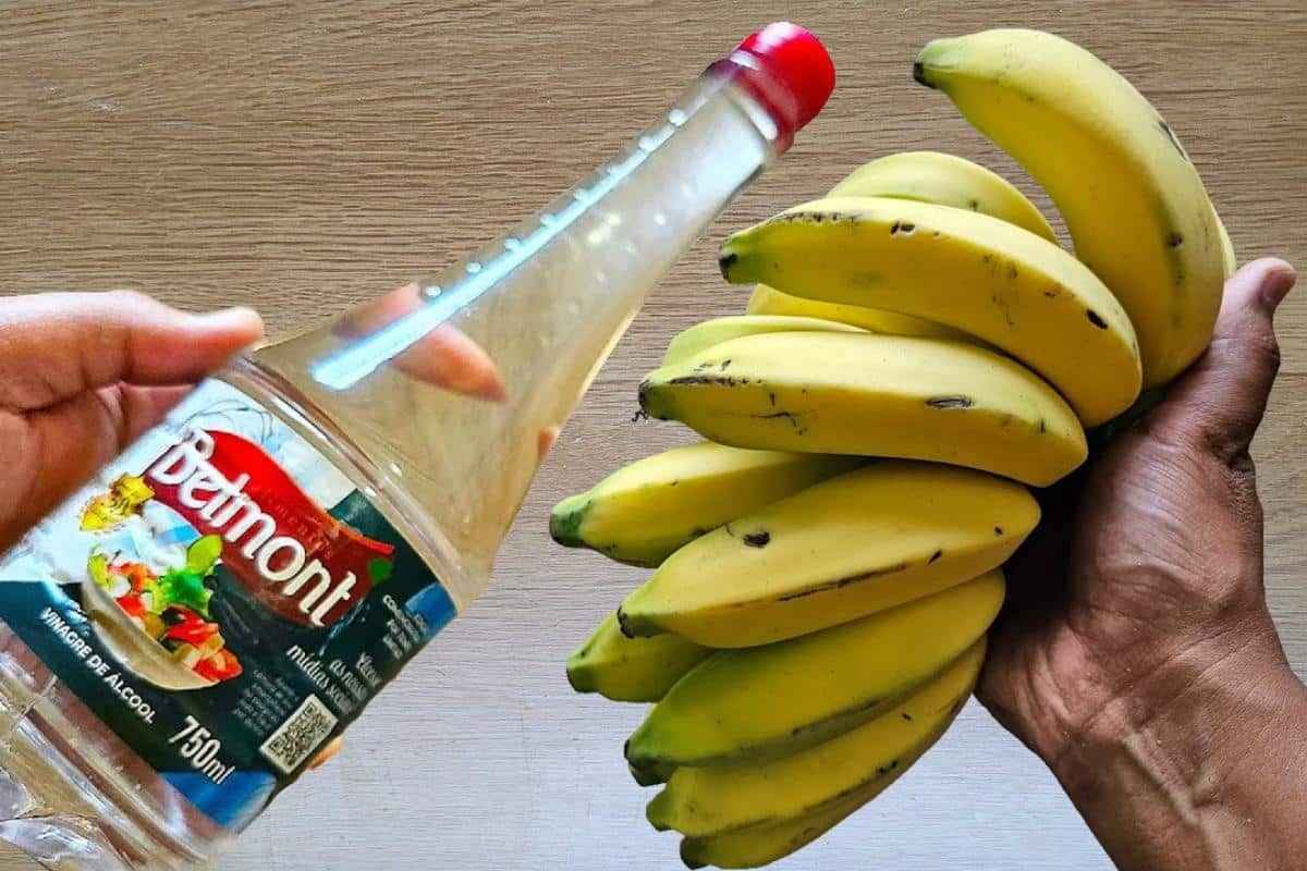 Como conservar banana madura: não escurece tão fácil e dura muito mais tempo